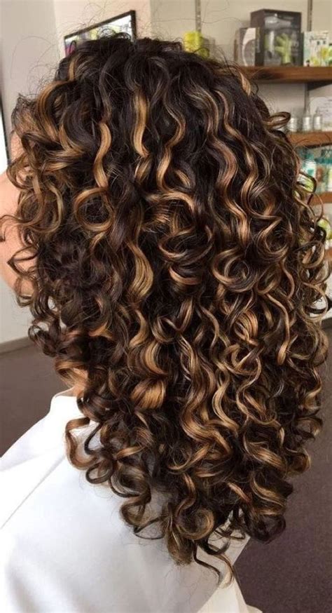 2024 inspiring hair color ideas for curly hair best picks