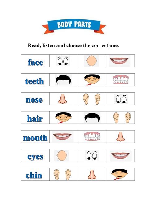 Body Parts My Face Worksheet Body Parts Preschool Body Parts For