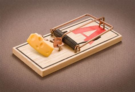 The Best Mouse Traps Reviews By Supergrail