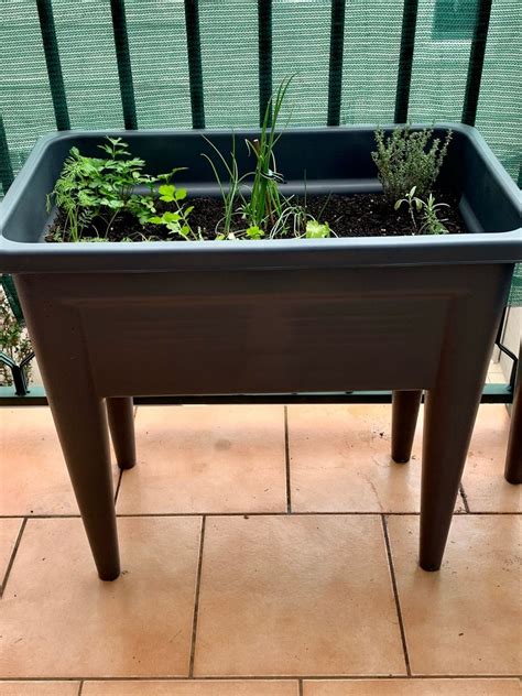 How To Start A Balcony Herb Garden The Gourmantic Garden