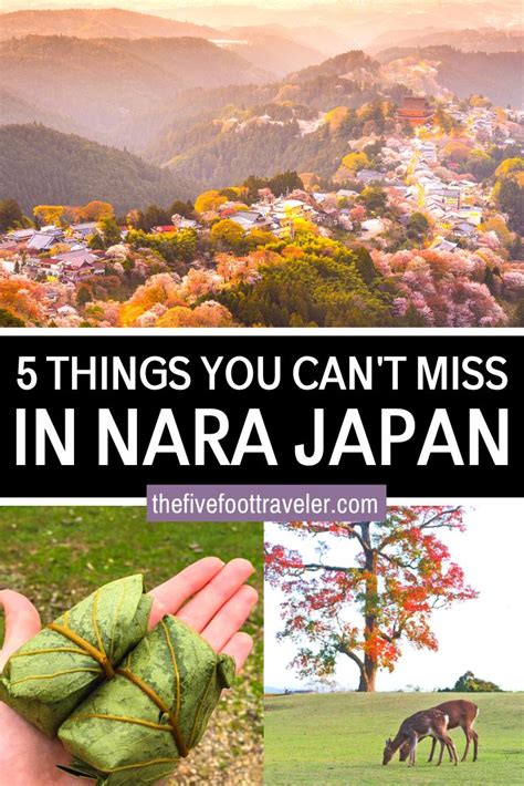 There Are Many Things You Cant Miss In Narra Japan Including