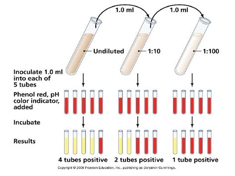 Lab 6 Most Probable Number Method Mpn Most