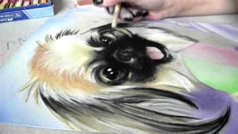 Helena Kocakova Dog Dea Portrait Soft Pastel Drawing Youtube