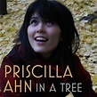 In A Tree — Priscilla Ahn | Last.fm