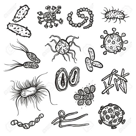 Bacteria Cell Coloring Coloring Pages