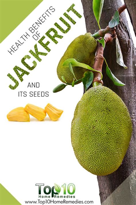 What Makes Jackfruit Good For You Health Benefits And Nutritional Facts