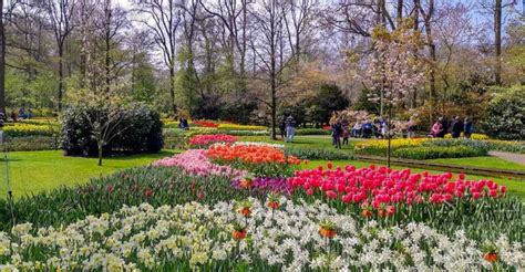 Keukenhof Gardens 2021 Visit The Amsterdam Tulip Garden