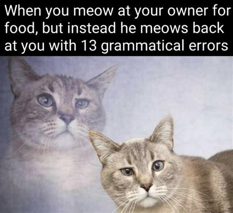 33 Funny Memes To Take A Break With Gallery Ebaums World