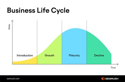 Business Growth Stages Strategies And Tips To Grow Sustainably