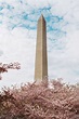 Washington Monument (Tickets, Visiting Tips and More)