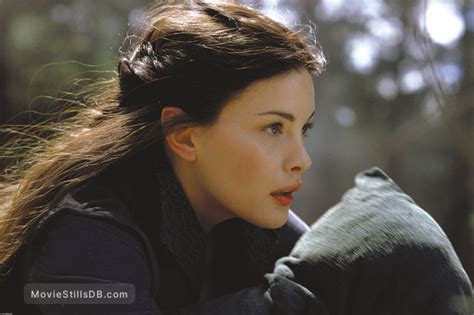 the lord of the rings the fellowship of the ring publicity still of liv tyler