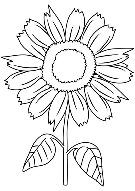 The cute sunflower coloring page is a good option for kids aged 6 to 10. Sunny Smile Sunflower Coloring Page - Free Printable ...