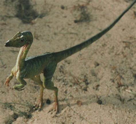Compsognathus Film Universe Jurassic Outpost Encyclopedia