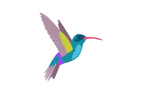 Bright Tropical Hummingbird Bird Cartoon Graphic By Pchvector