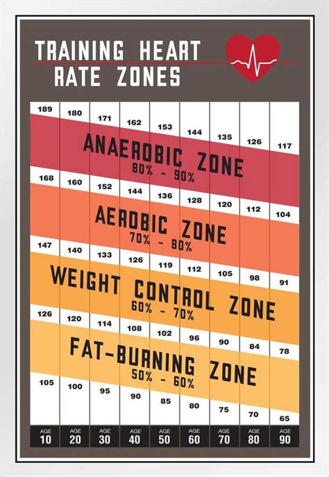 Workout Home Gym Training Heart Rate Zones Gym Fitness Cardio Athletic