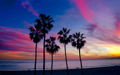 Download Wallpaper 3840x2400 Palm Trees Sunset Silhouette Horizon 4k
