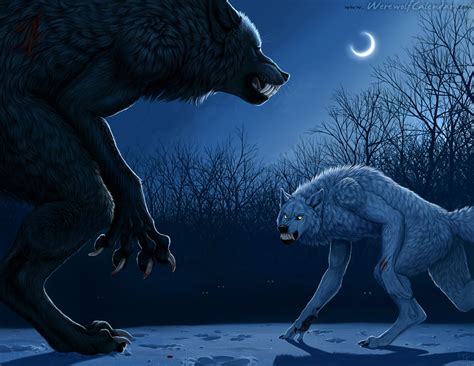 Free Download Werewolf Wallpaper 1038x802 Werewolf 1038x802 For Your Desktop Mobile And Tablet