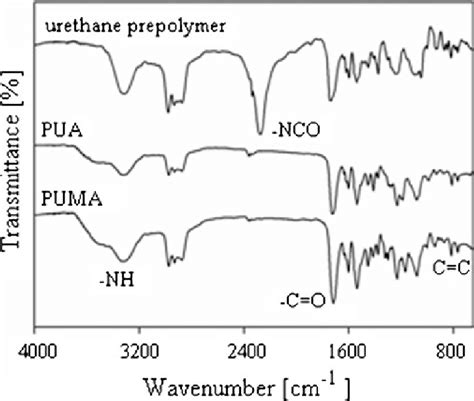 Ft Ir Spectra Of The Urethane Prepolymer And The Resulting Oligomers