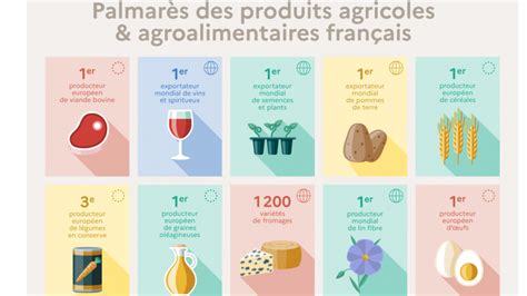 Infographie Palmarès Des Produits Agricoles Et Agroalimentaires