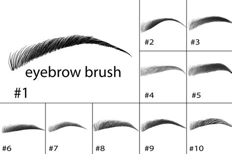 Eyebrow Brushes Photoshop Brushes Eyebrows A Set Of 10 Etsy Portugal