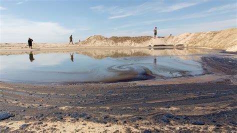 ‘major Oil Spill Off California Coast Threatens Wetlands And Wildlife