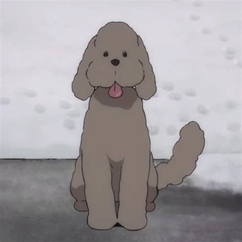 Anime Poodles
