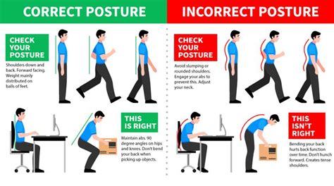 The Correct Posture For Sitting At A Computer Desk