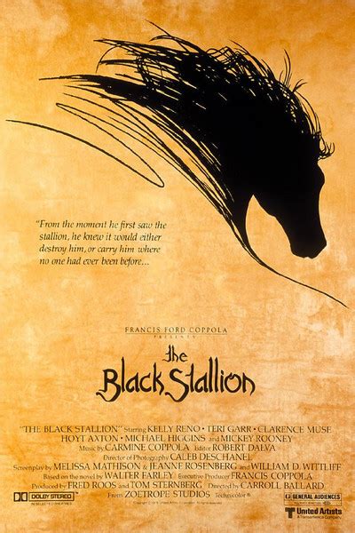 While traveling with his father, young alec becomes fascinated by a mysterious arabian stallion that is brought on board and stabled in the ship he is sailing on. The Black Stallion movie review (1979) | Roger Ebert