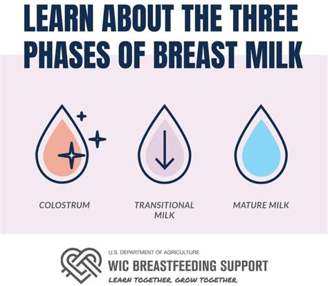 Each Breast Milk Phase Is Vital Wic Breastfeeding Support