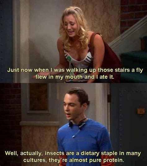 Penny And Sheldon On Big Bang Theory Meme Lol Big Bang Theory Memes