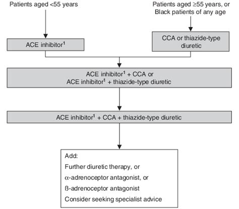 British Hypertension Society Guidelines For Treatment Of Newly