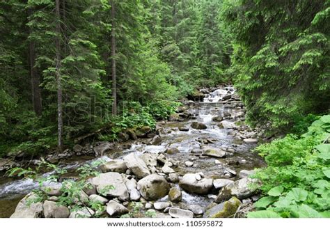 Cascades On Clear Creek Forest Stock Photo 110595872 Shutterstock