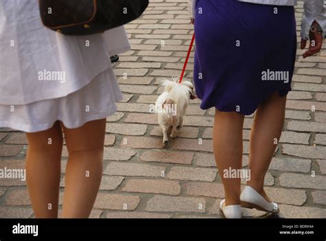 Twp Young Women Walking Their Dog Stock Photo Alamy