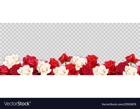 Red Roses Border Royalty Free Vector Image Vectorstock