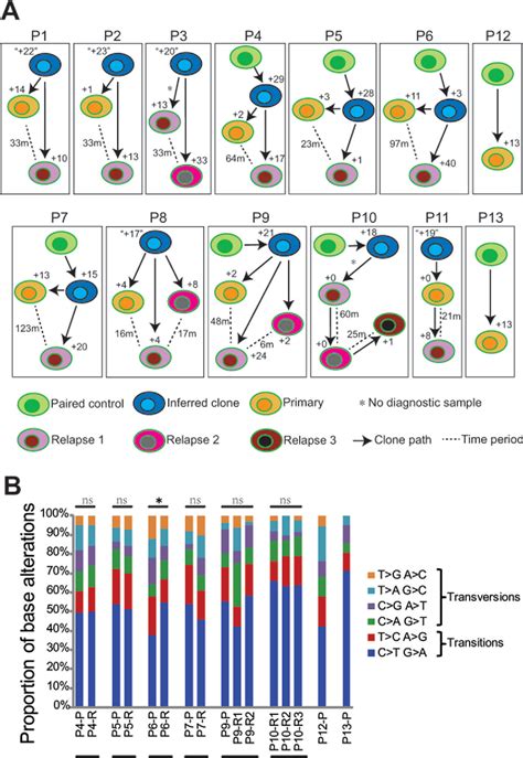 Figure 3 From Genetic Heterogeneity In Primary And Relapsed Mantle Cell