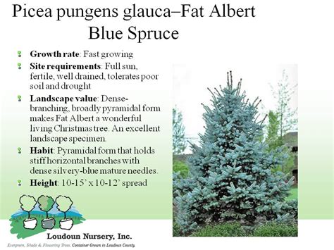 The result is 2.5 pounds of fertilizer. Index of Tree