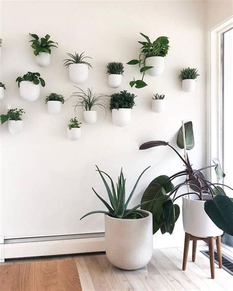 28 Plant Wall Art Ideas For Home Décor Plantas En Pared Decoración