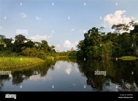 Beautiful Landscape Of Napo River In Ecuadors Amazon Basin Stock Photo
