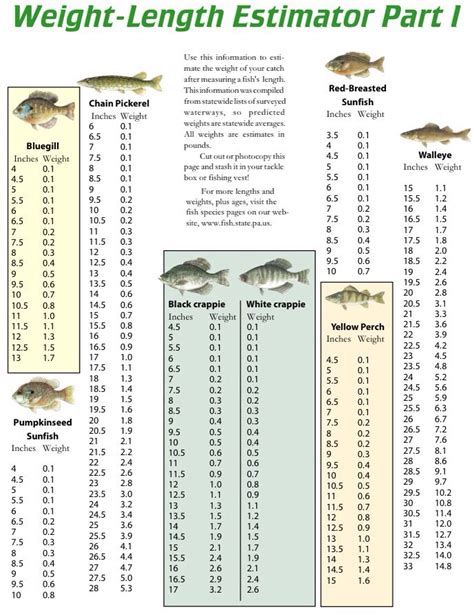 Off Shore Tackle Snap Weight Depth Chart
