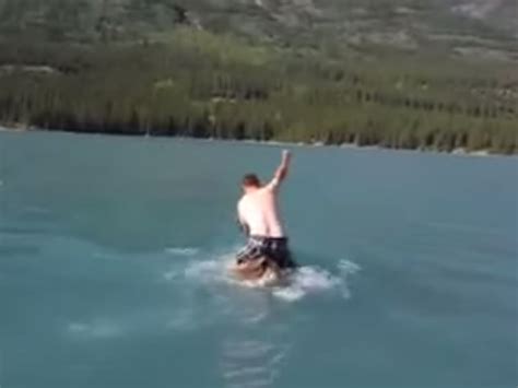 Video Of A Man Riding A Moose Across Water Causes Outrage In Another