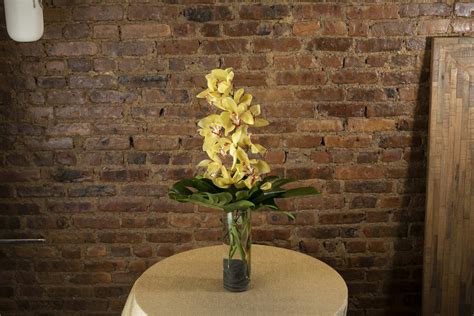 Yellow Cymbidium Orchid In Brooklyn Ny The Avenue J Florist