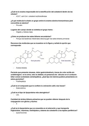 Cuestionario Metabolismo De Los Carbohidratos Define Cada Proceso