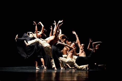 Dança Contemporânea | Companhia de dança, Dança contemporanea, Dança