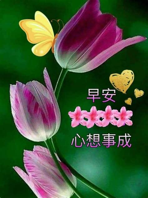 Chinese Morning Greetings Images Good Morning Motivational Quotes