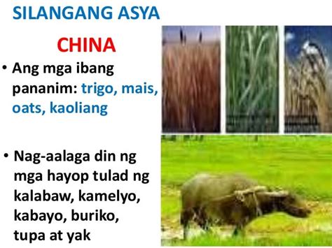 Likas Na Yaman Ng Asya