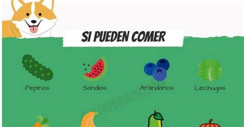 ¿pueden Los Perros Comer Todo Tipo De Frutas Y Verduras