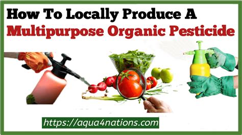 How To Locally Produce A Multipurpose Organic Pesticide Aqua4nations