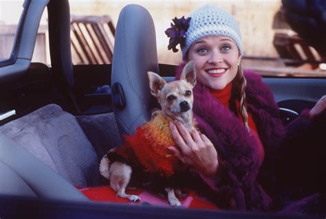 Reese Witherspoon Mourns Death Of Legally Blonde Dog Who Played