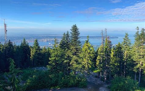 15 Things To Do At Grouse Mountain The Peak Of Vancouver Vancouver