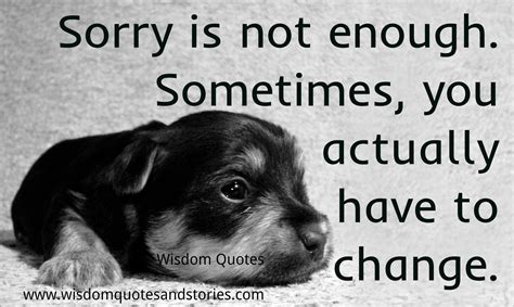 Sometimes Sorry Is Not Enough Wisdom Quotes And Stories